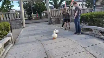 神泉苑(京都府)