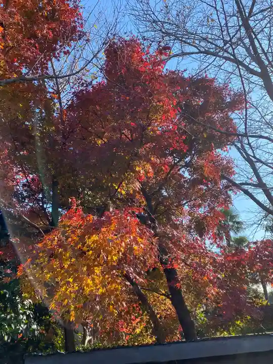 鹿嶋神社の自然