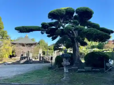 観明寺(千葉県)