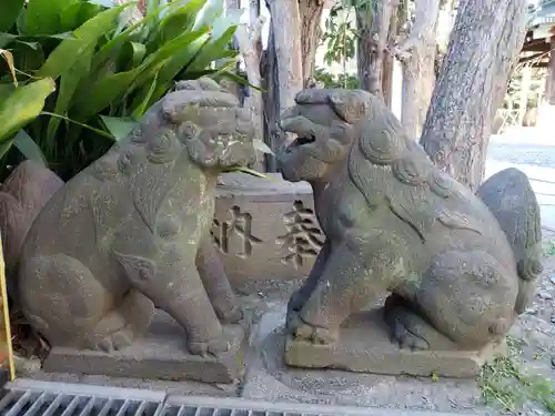 麻布氷川神社の狛犬