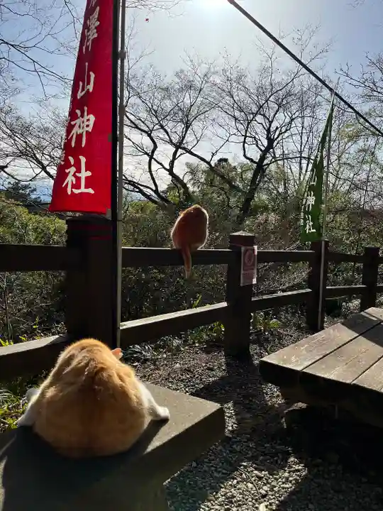 唐澤山神社の動物