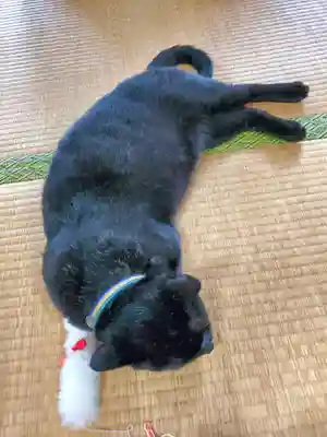高司神社〜むすびの神の鎮まる社〜(福島県)