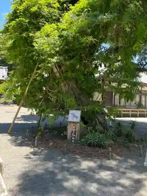 伊古奈比咩命神社(静岡県)