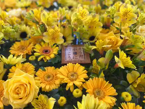 住吉神社の手水