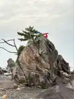 唐浜神社(高知県)