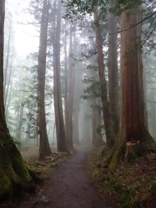 戸隠神社奥社(長野県)