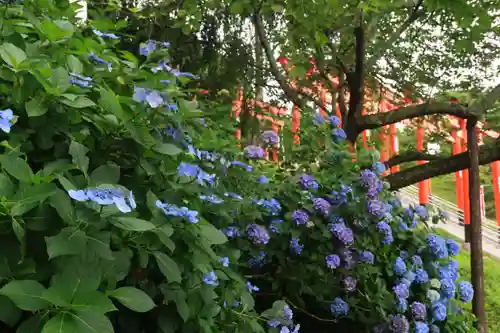 高屋敷稲荷神社の景色