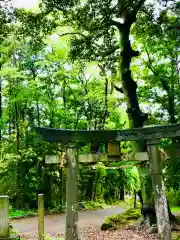 飯名神社の鳥居