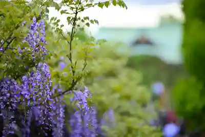 亀戸天神社(東京都)