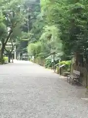 天岩戸神社(宮崎県)