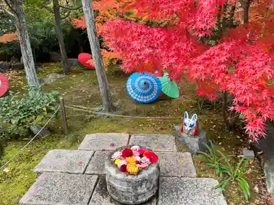 勝林寺(京都府)
