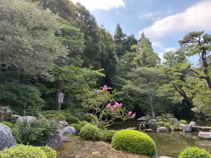 知恩院(京都府)