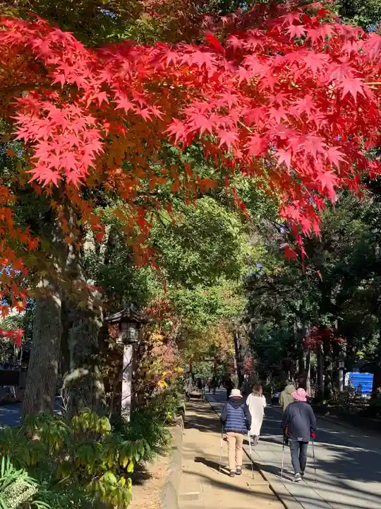 武蔵一宮氷川神社(埼玉県)