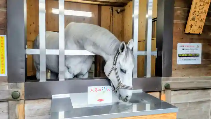多度大社(三重県)