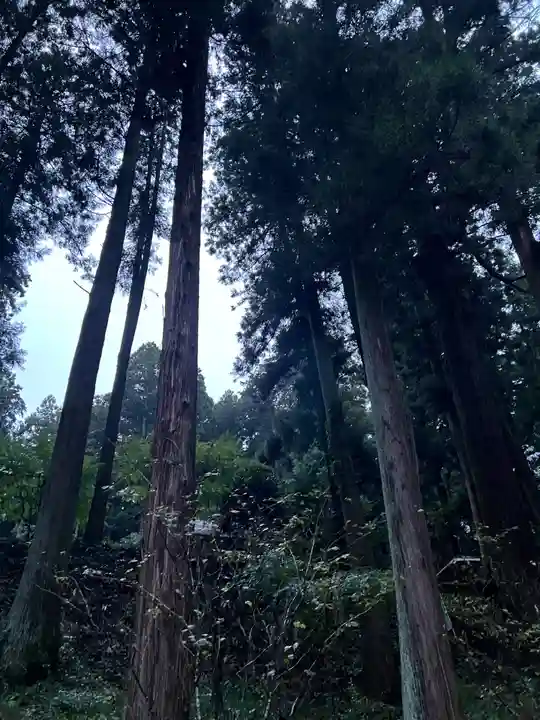 大宮温泉神社(栃木県)