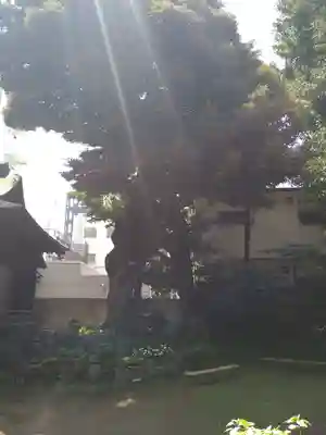 大森山王日枝神社(東京都)