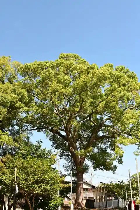 伊吹八幡神社(香川県)