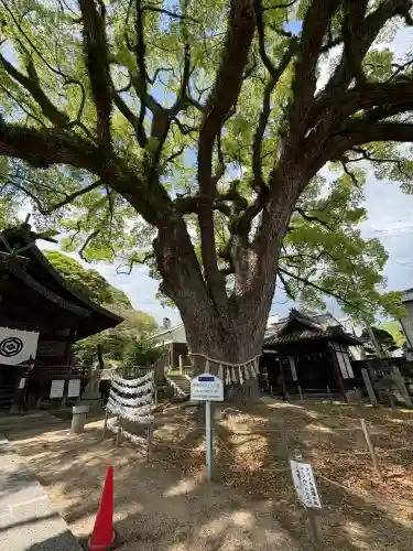 艮神社の{uncategorized: "未分類", other: "その他", undefined: "問題あり", building: "その他建物", grave: "お墓", sacred_gate: "鳥居", guardian: "狛犬", statue: "像", buddha: "仏像", history: "歴史", nature: "自然", garden: "庭園", animal: "動物", pagoda: "塔", temizu: "手水舎", mountain_gate: "山門・神門", sanctuary: "本殿・本堂", subordinate: "末社・摂社", art: "芸術", scenery: "景色", jizo: "地蔵", ema: "絵馬", goshuin: "御朱印", omikuji: "おみくじ", items: "授与品その他", amulet: "お守り", goshuincho: "御朱印帳", eats: "食事", festival: "お祭り", votive_dance: "神楽", shichigosan: "七五三参", wedding: "結婚式", experience: "体験その他", initially: "初詣", around: "周辺", anti_infection: "感染症対策"}