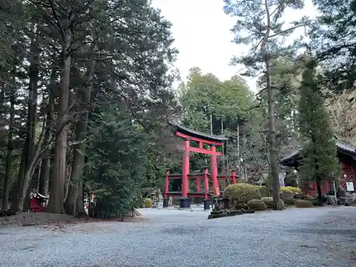 北口本宮冨士浅間神社の鳥居