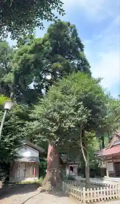 劒神社(福井県)