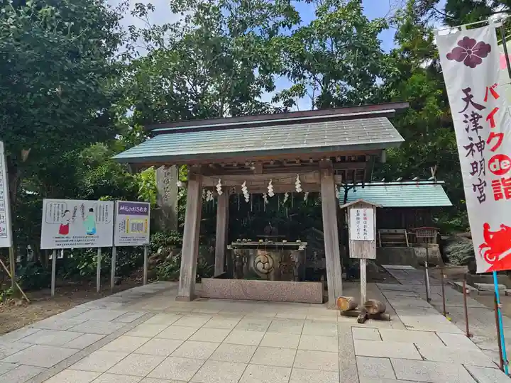 天津神明宮(千葉県)