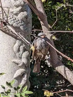 高円寺(東京都)