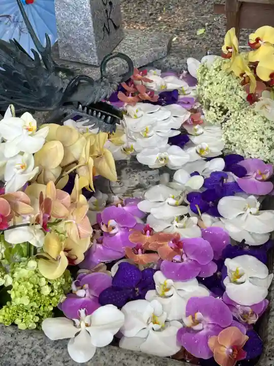 札幌諏訪神社の手水舎