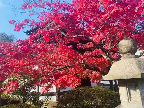 明王院(岡山県)
