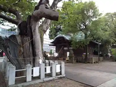 阿邪訶根神社のその他建物