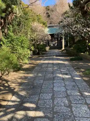 常立寺の庭園