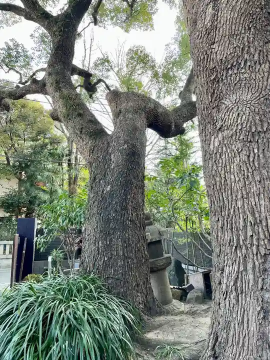 久遠寺(神奈川県)