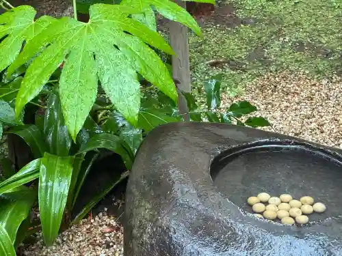 陽運寺の{uncategorized: "未分類", other: "その他", undefined: "問題あり", building: "その他建物", grave: "お墓", sacred_gate: "鳥居", guardian: "狛犬", statue: "像", buddha: "仏像", history: "歴史", nature: "自然", garden: "庭園", animal: "動物", pagoda: "塔", temizu: "手水舎", mountain_gate: "山門・神門", sanctuary: "本殿・本堂", subordinate: "末社・摂社", art: "芸術", scenery: "景色", jizo: "地蔵", ema: "絵馬", goshuin: "御朱印", omikuji: "おみくじ", items: "授与品その他", amulet: "お守り", goshuincho: "御朱印帳", eats: "食事", festival: "お祭り", votive_dance: "神楽", shichigosan: "七五三参", wedding: "結婚式", experience: "体験その他", initially: "初詣", around: "周辺", anti_infection: "感染症対策"}
