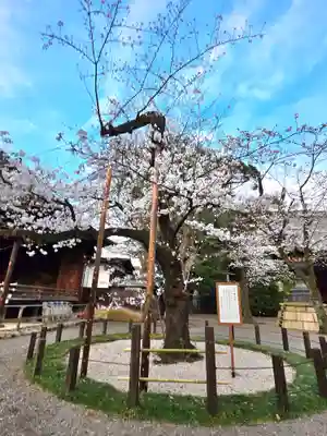 靖國神社(東京都)