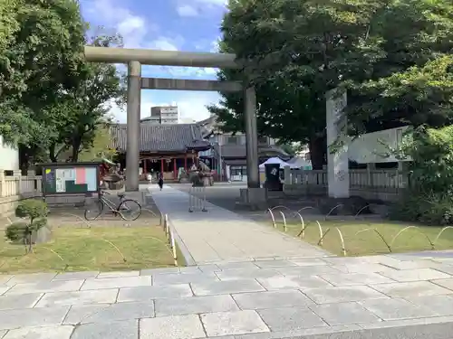 浅草神社の鳥居