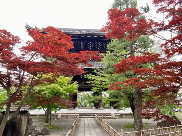 くろ谷 金戒光明寺の山門・神門