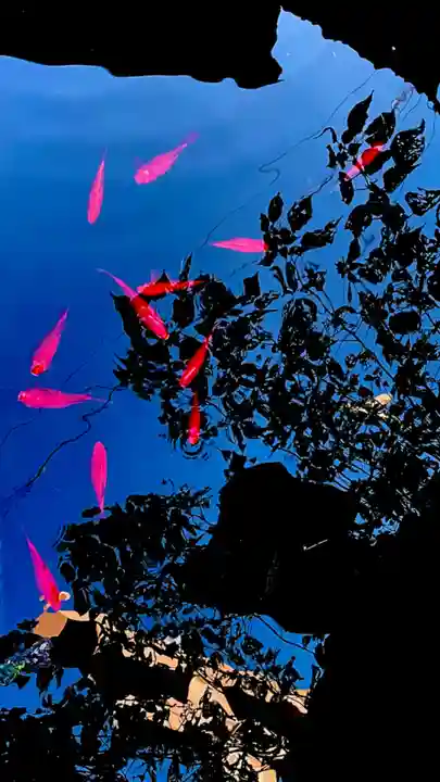 金刀比羅宮(香川県)