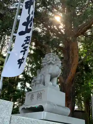 北見神社の狛犬