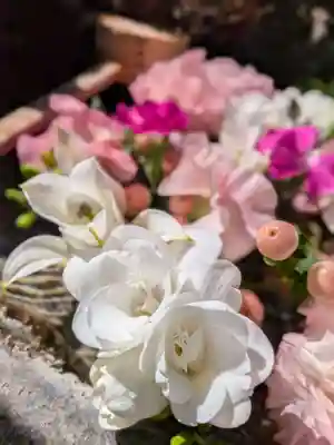 本郷氷川神社(東京都)