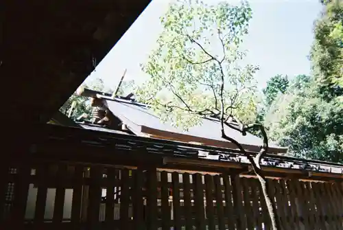 猿田彦神社の本殿・本堂