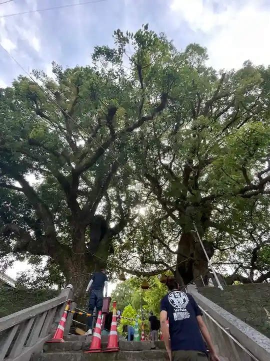 山王神社の自然