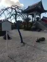 大信寺(群馬県)