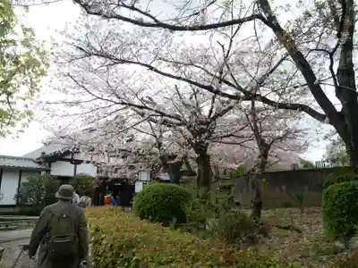 上品蓮台寺の自然