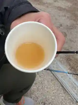 住吉大社の{uncategorized: "未分類", other: "その他", undefined: "問題あり", building: "その他建物", grave: "お墓", sacred_gate: "鳥居", guardian: "狛犬", statue: "像", buddha: "仏像", history: "歴史", nature: "自然", garden: "庭園", animal: "動物", pagoda: "塔", temizu: "手水舎", mountain_gate: "山門・神門", sanctuary: "本殿・本堂", subordinate: "末社・摂社", art: "芸術", scenery: "景色", jizo: "地蔵", ema: "絵馬", goshuin: "御朱印", omikuji: "おみくじ", items: "授与品その他", amulet: "お守り", goshuincho: "御朱印帳", eats: "食事", festival: "お祭り", votive_dance: "神楽", shichigosan: "七五三参", wedding: "結婚式", experience: "体験その他", initially: "初詣", around: "周辺", anti_infection: "感染症対策"}