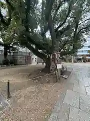 難波神社(大阪府)