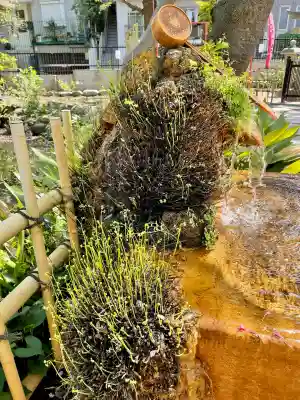 瀧泉寺　三福堂(東京都)