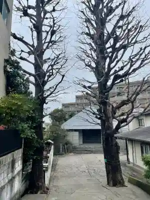 専念寺(東京都)