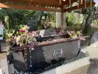 亀ケ池八幡宮の手水舎