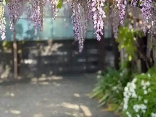 西方山極楽寺(岐阜県)