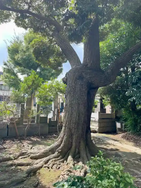 長福寺(神奈川県)