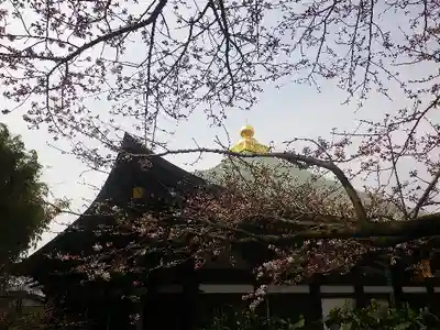 長勝寺の本殿・本堂